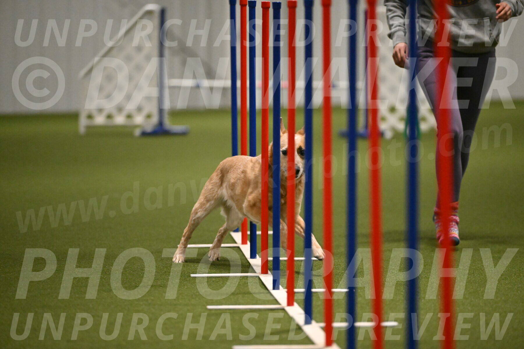 Kimber-Deanna-Rath-01559