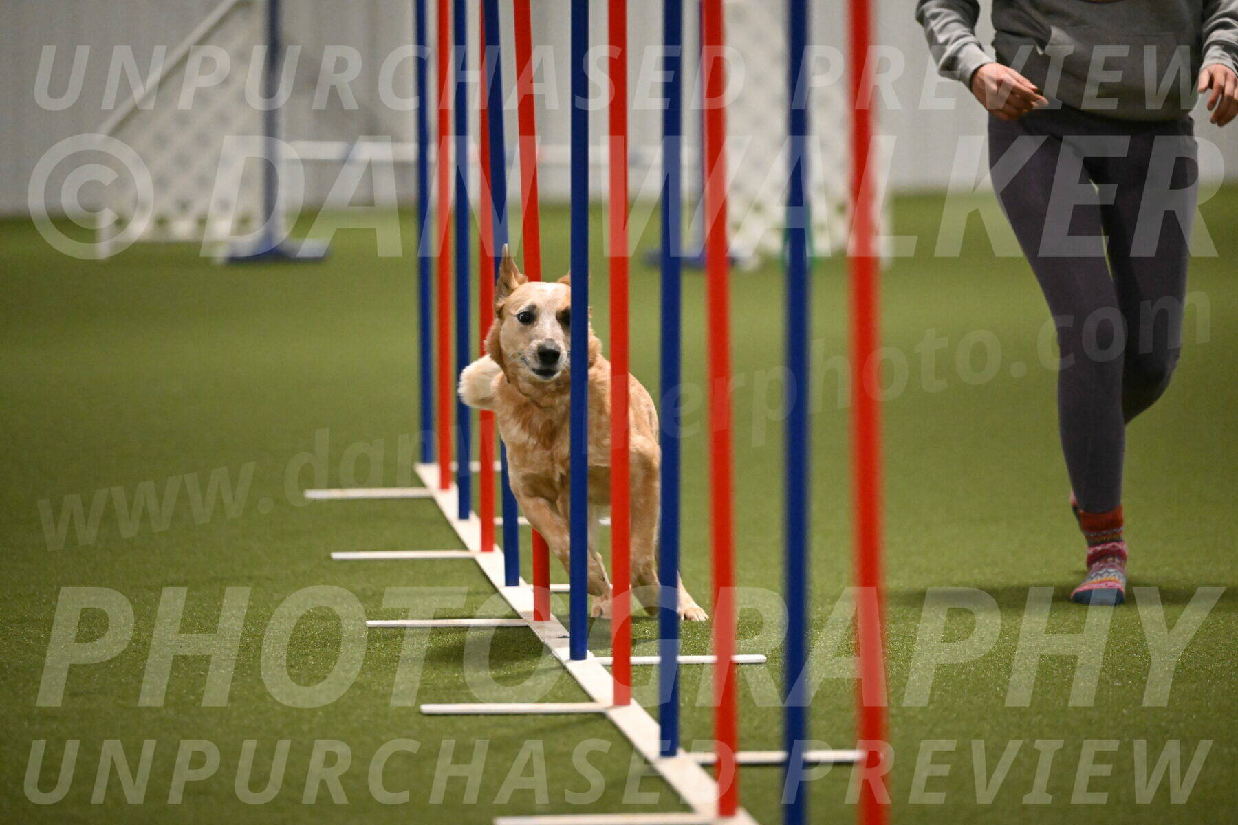 Kimber-Deanna-Rath-01560