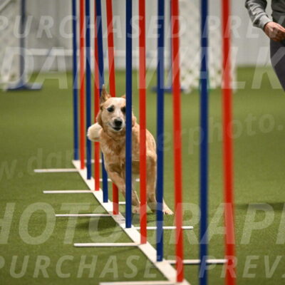 Kimber-Deanna-Rath-01560