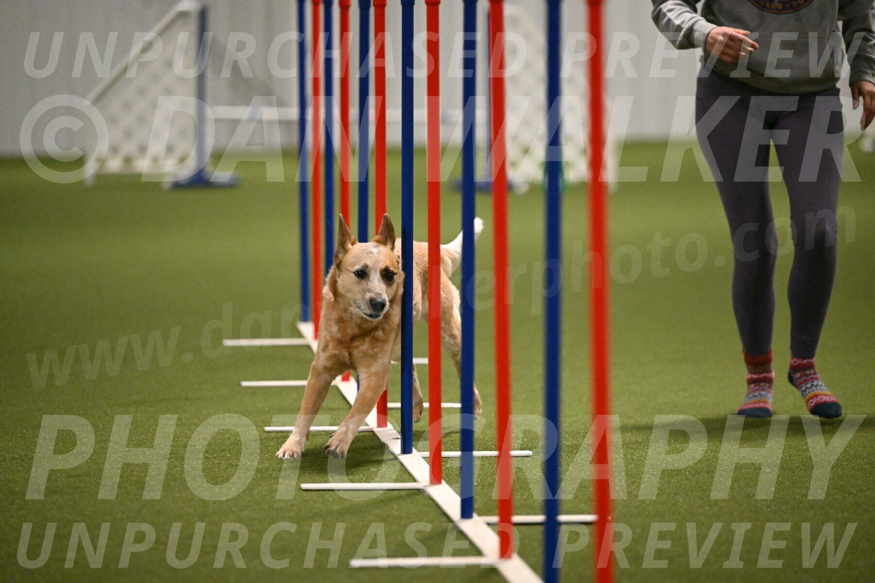 Kimber-Deanna-Rath-01561