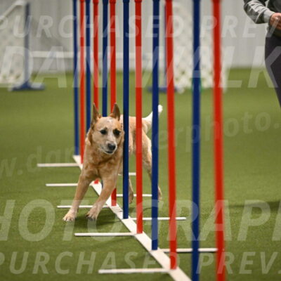 Kimber-Deanna-Rath-01561