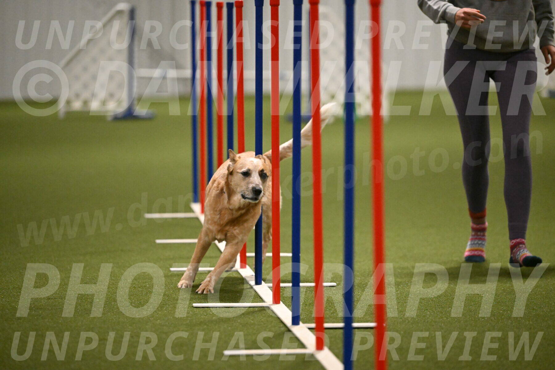 Kimber-Deanna-Rath-01562