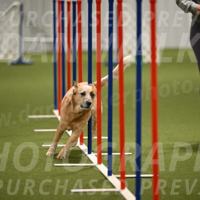 Kimber-Deanna-Rath-01562