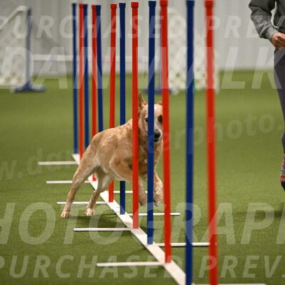 Kimber-Deanna-Rath-01563