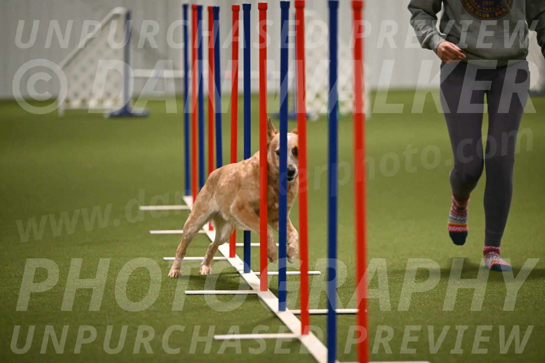 Kimber-Deanna-Rath-01563