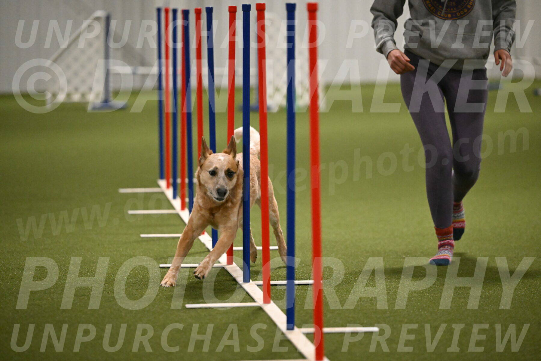 Kimber-Deanna-Rath-01564