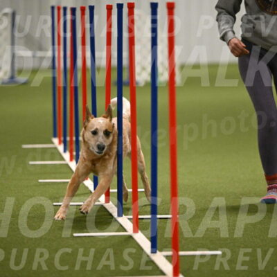 Kimber-Deanna-Rath-01564