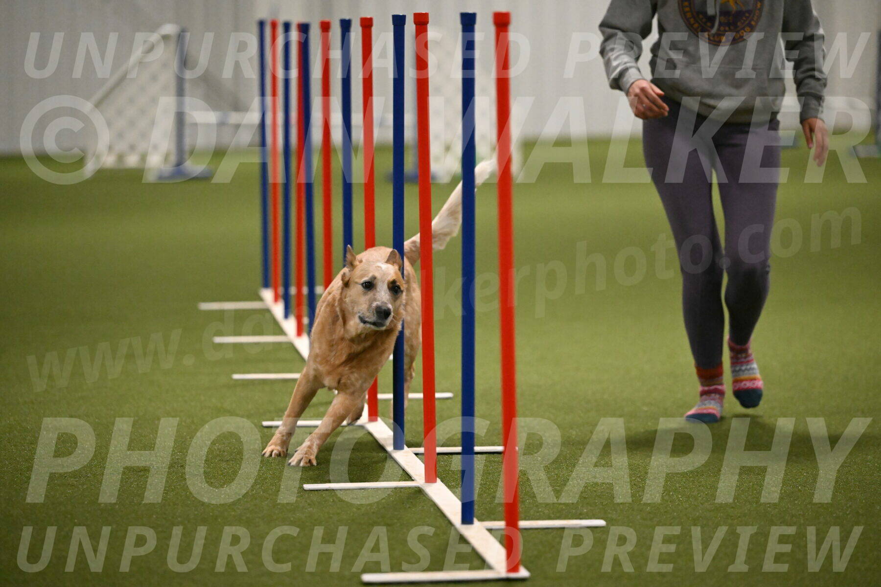 Kimber-Deanna-Rath-01565