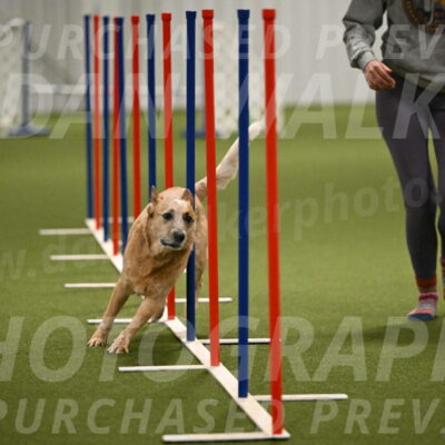 Kimber-Deanna-Rath-01565