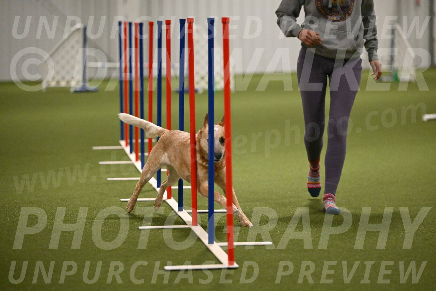 Kimber-Deanna-Rath-01566