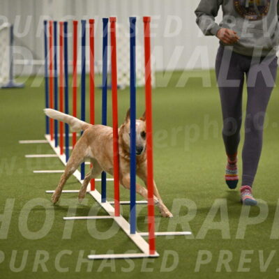 Kimber-Deanna-Rath-01566