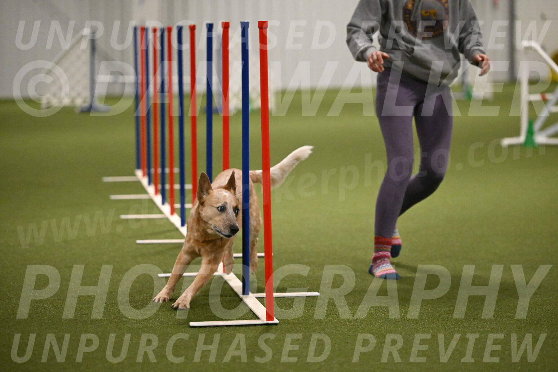 Kimber-Deanna-Rath-01567