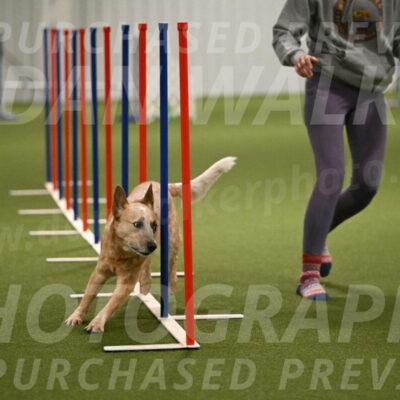 Kimber-Deanna-Rath-01567