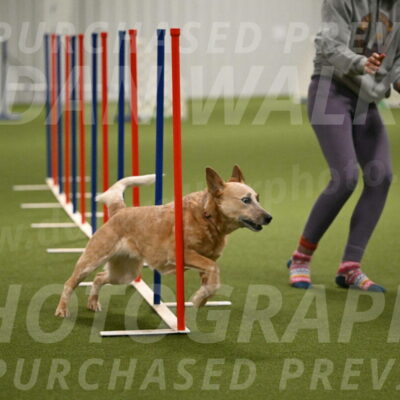 Kimber-Deanna-Rath-01568