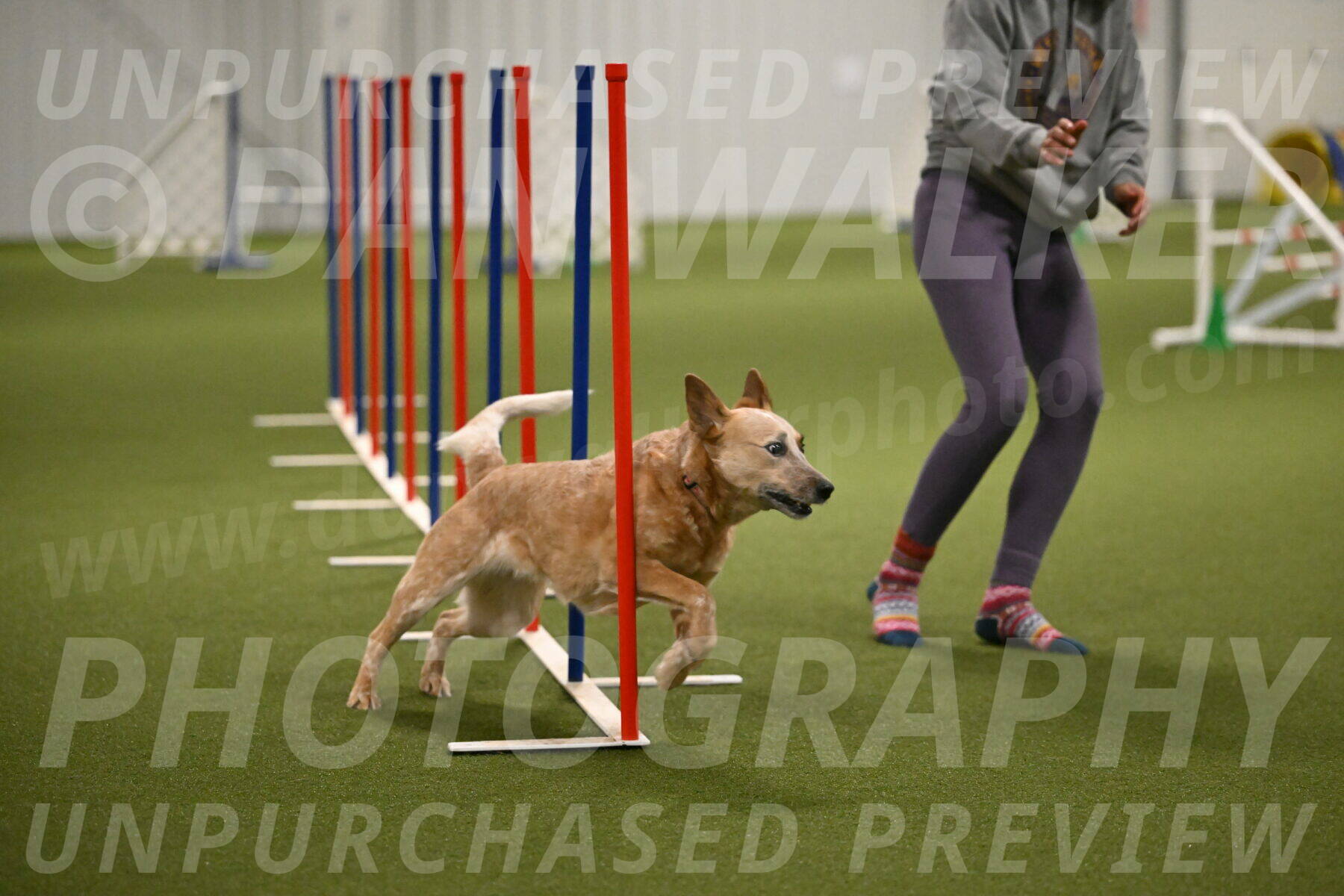 Kimber-Deanna-Rath-01568