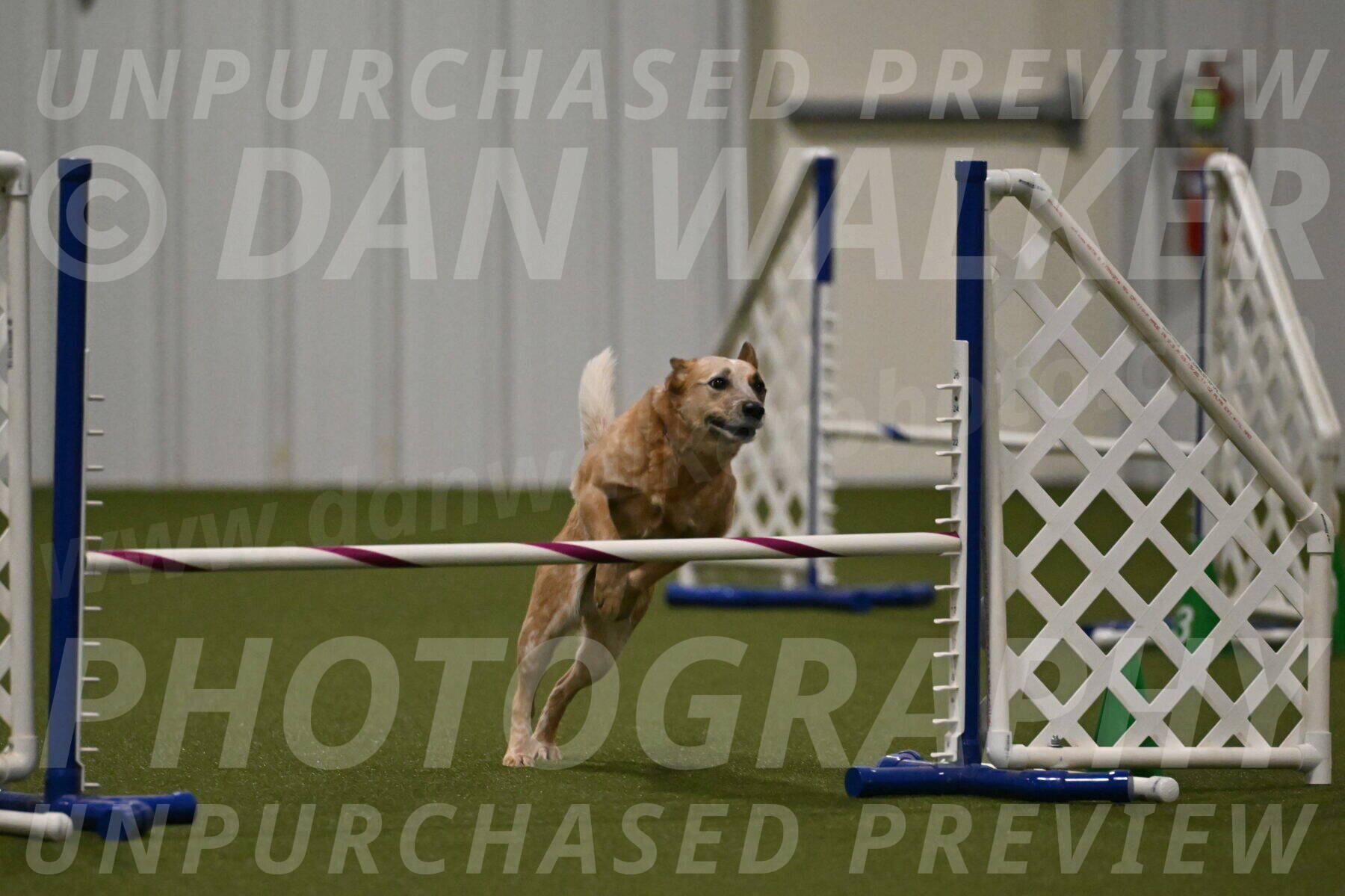 Kimber-Deanna-Rath-01569