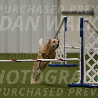 Kimber-Deanna-Rath-01569