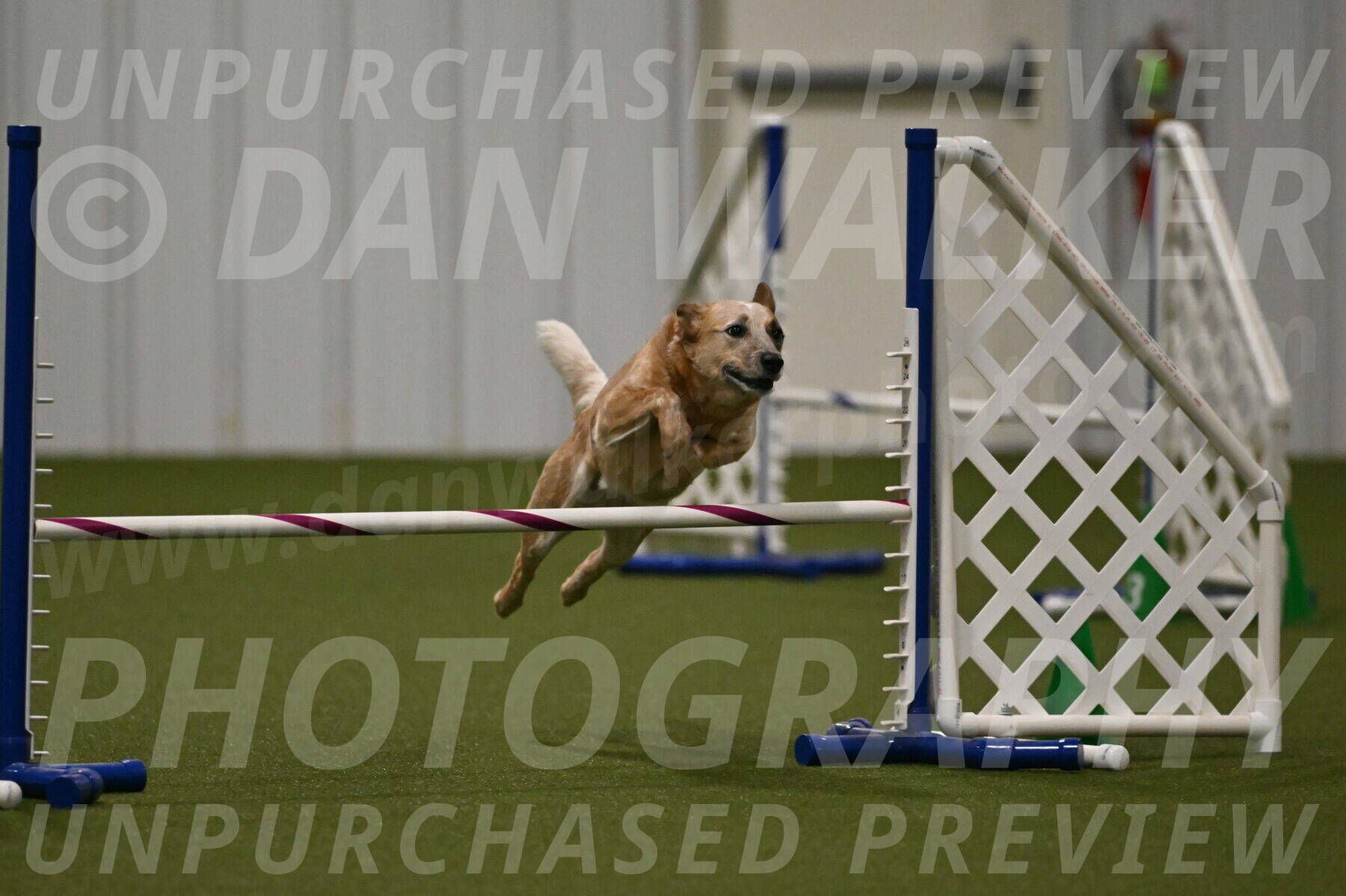 Kimber-Deanna-Rath-01570