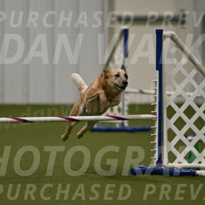 Kimber-Deanna-Rath-01570