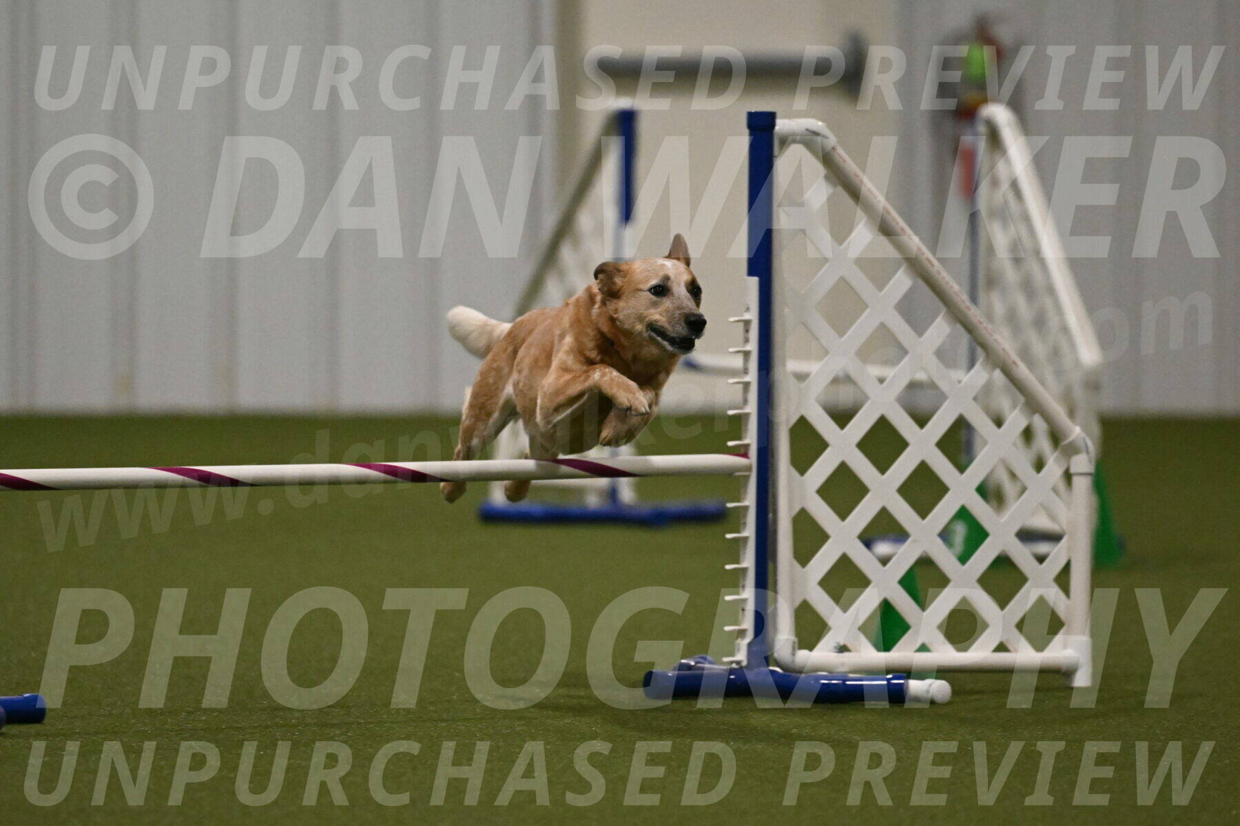 Kimber-Deanna-Rath-01571