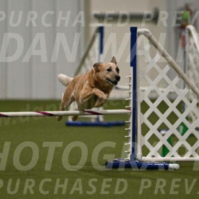 Kimber-Deanna-Rath-01571