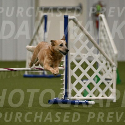 Kimber-Deanna-Rath-01572