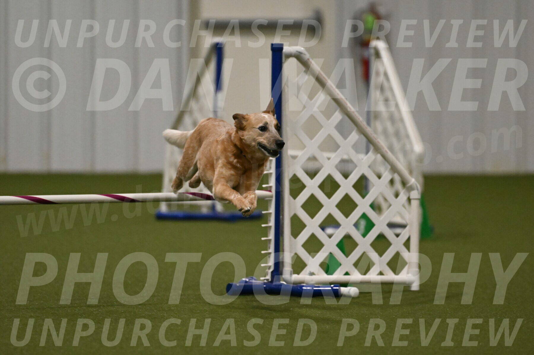 Kimber-Deanna-Rath-01572