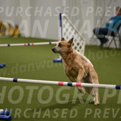 Kimber-Deanna-Rath-01573