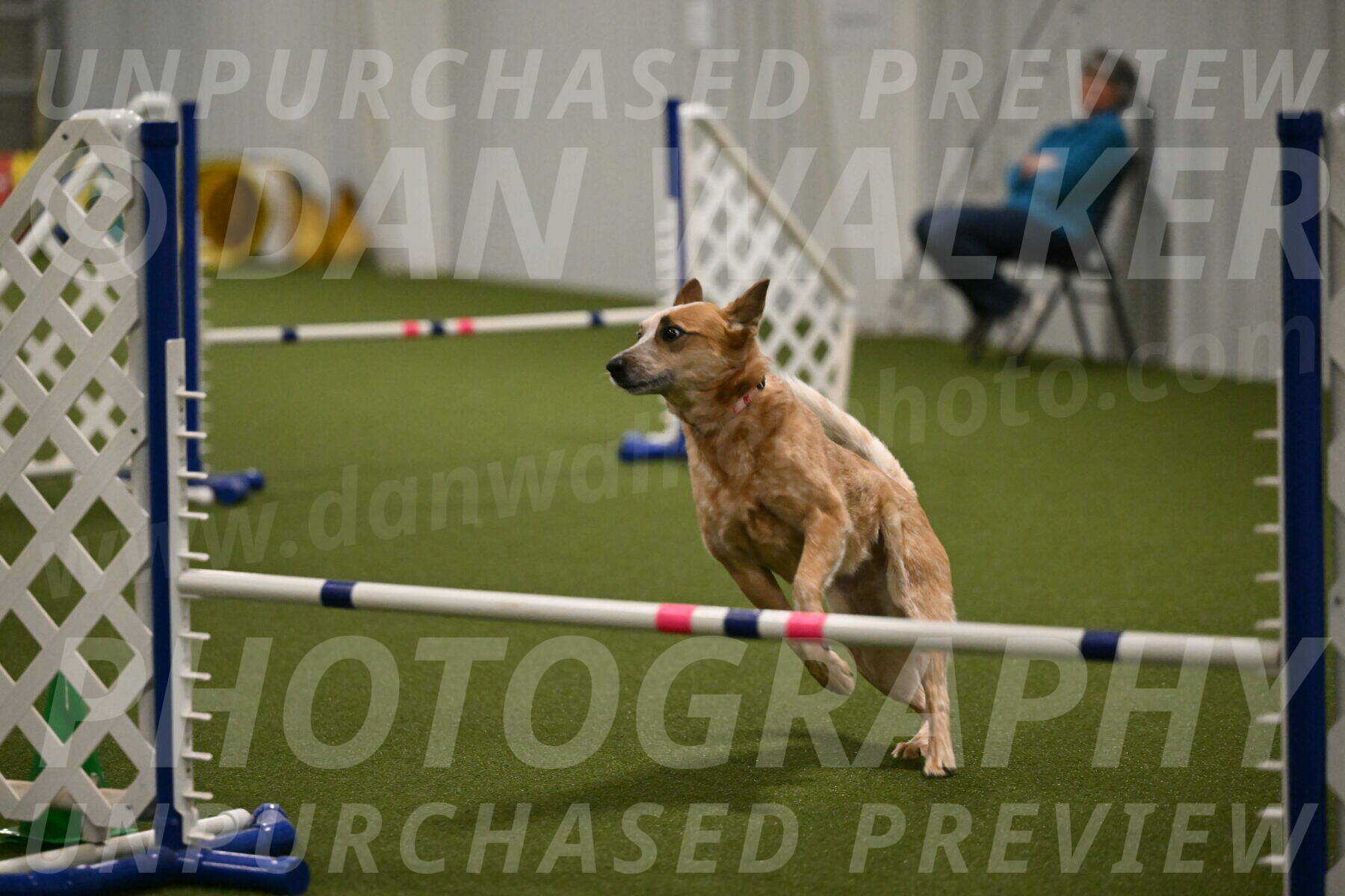 Kimber-Deanna-Rath-01573