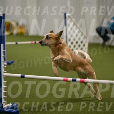 Kimber-Deanna-Rath-01574