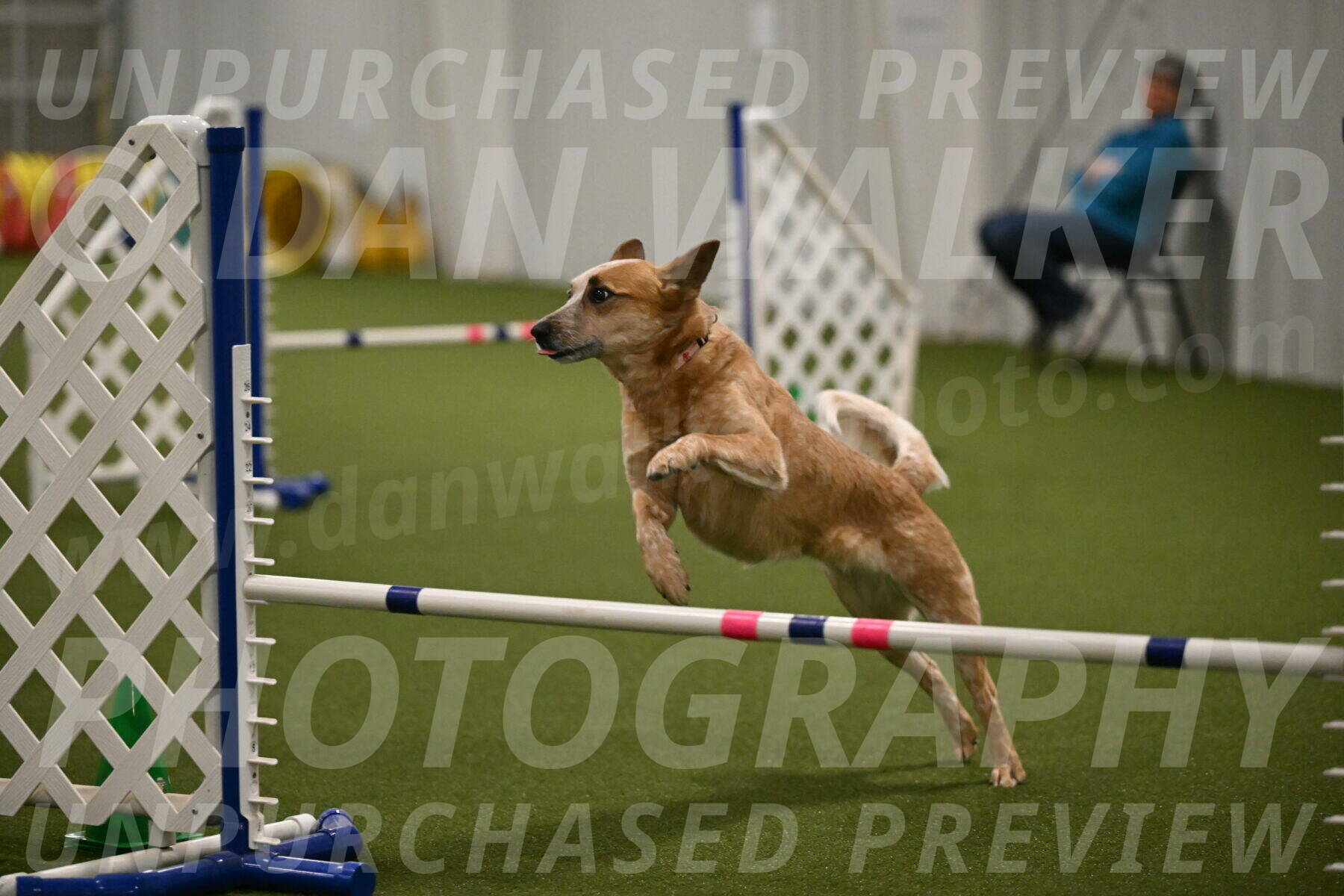 Kimber-Deanna-Rath-01574