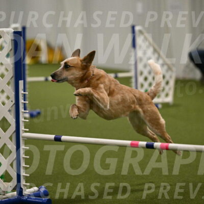 Kimber-Deanna-Rath-01575