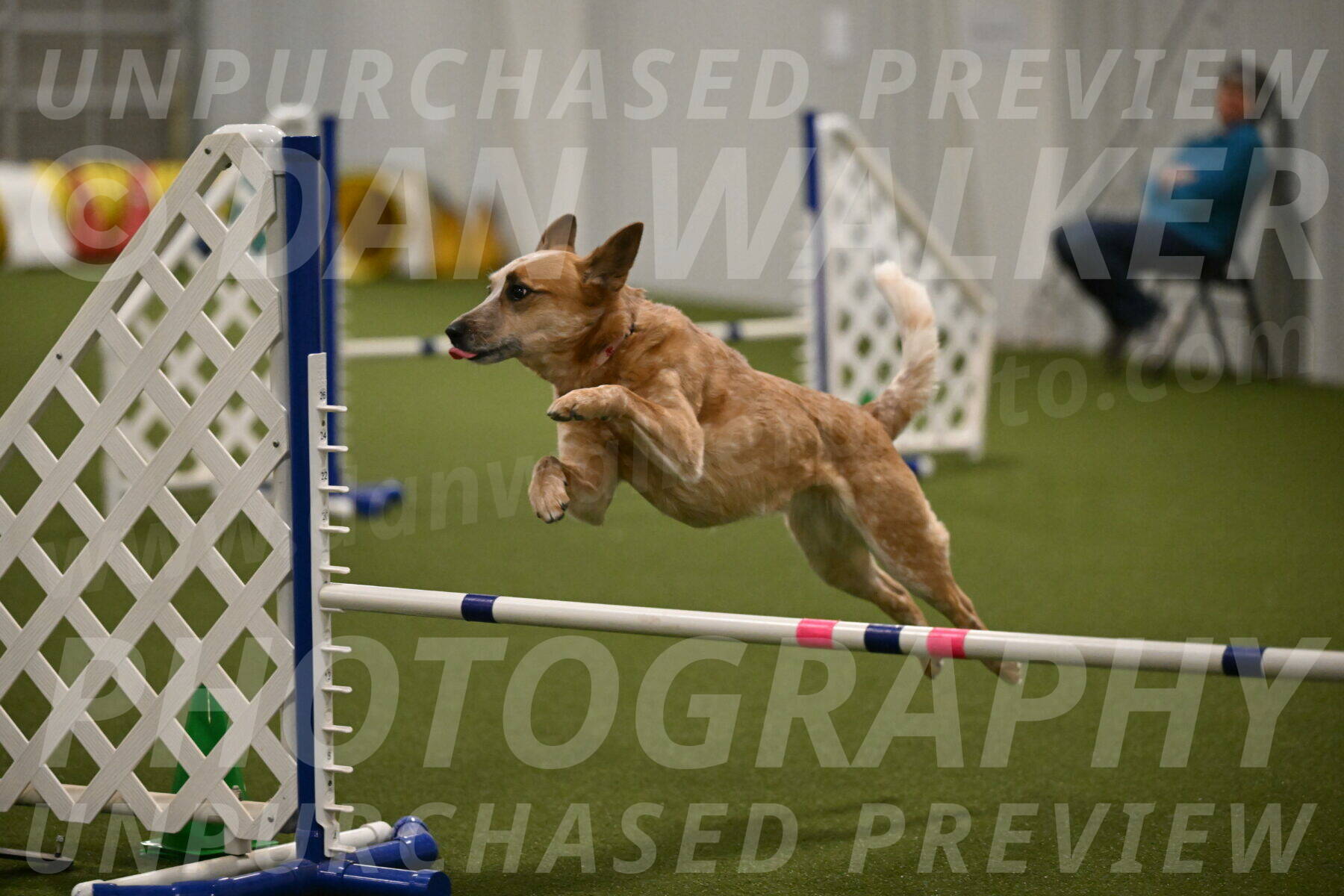 Kimber-Deanna-Rath-01575