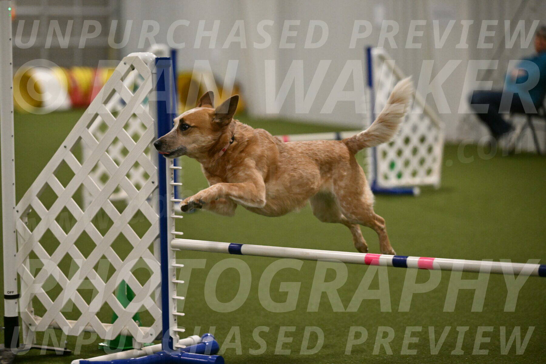 Kimber-Deanna-Rath-01576