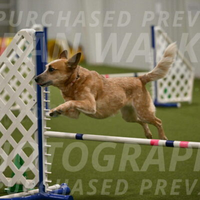 Kimber-Deanna-Rath-01576