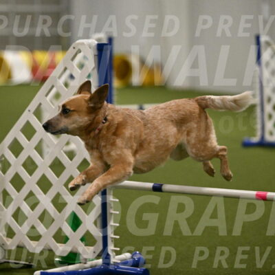 Kimber-Deanna-Rath-01577