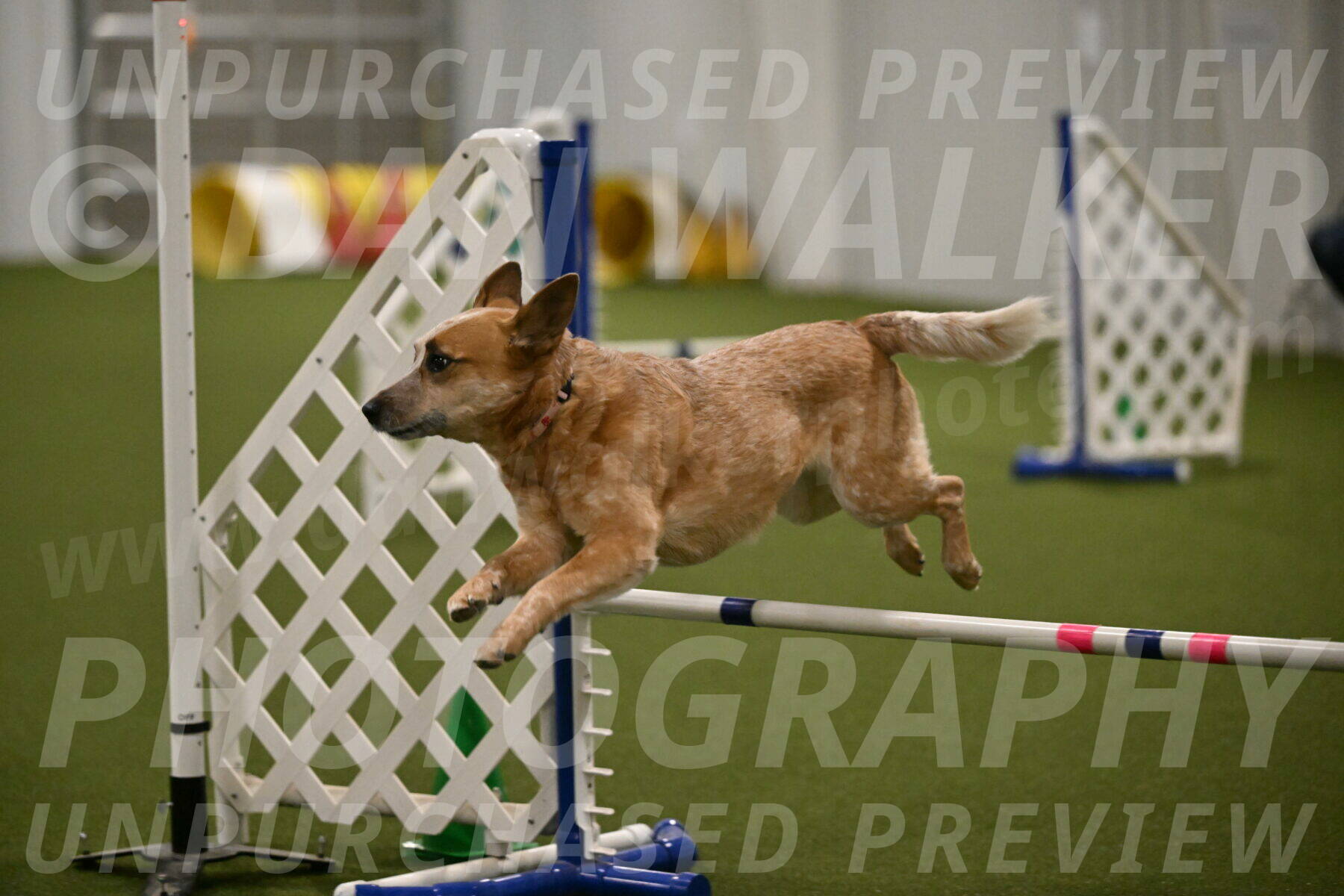 Kimber-Deanna-Rath-01577