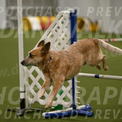 Kimber-Deanna-Rath-01578