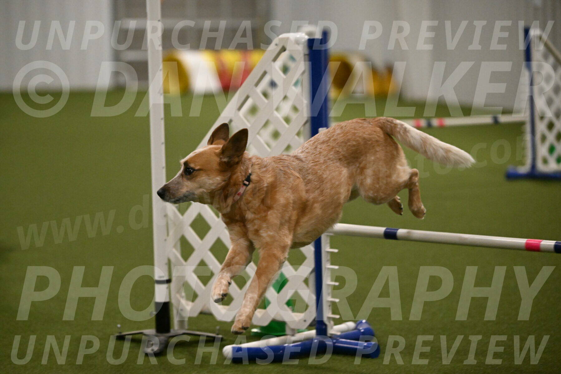 Kimber-Deanna-Rath-01578