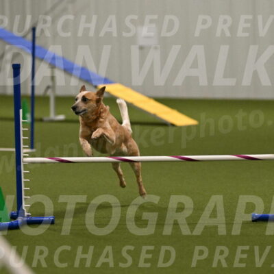 Kimber-Deanna-Rath-01583