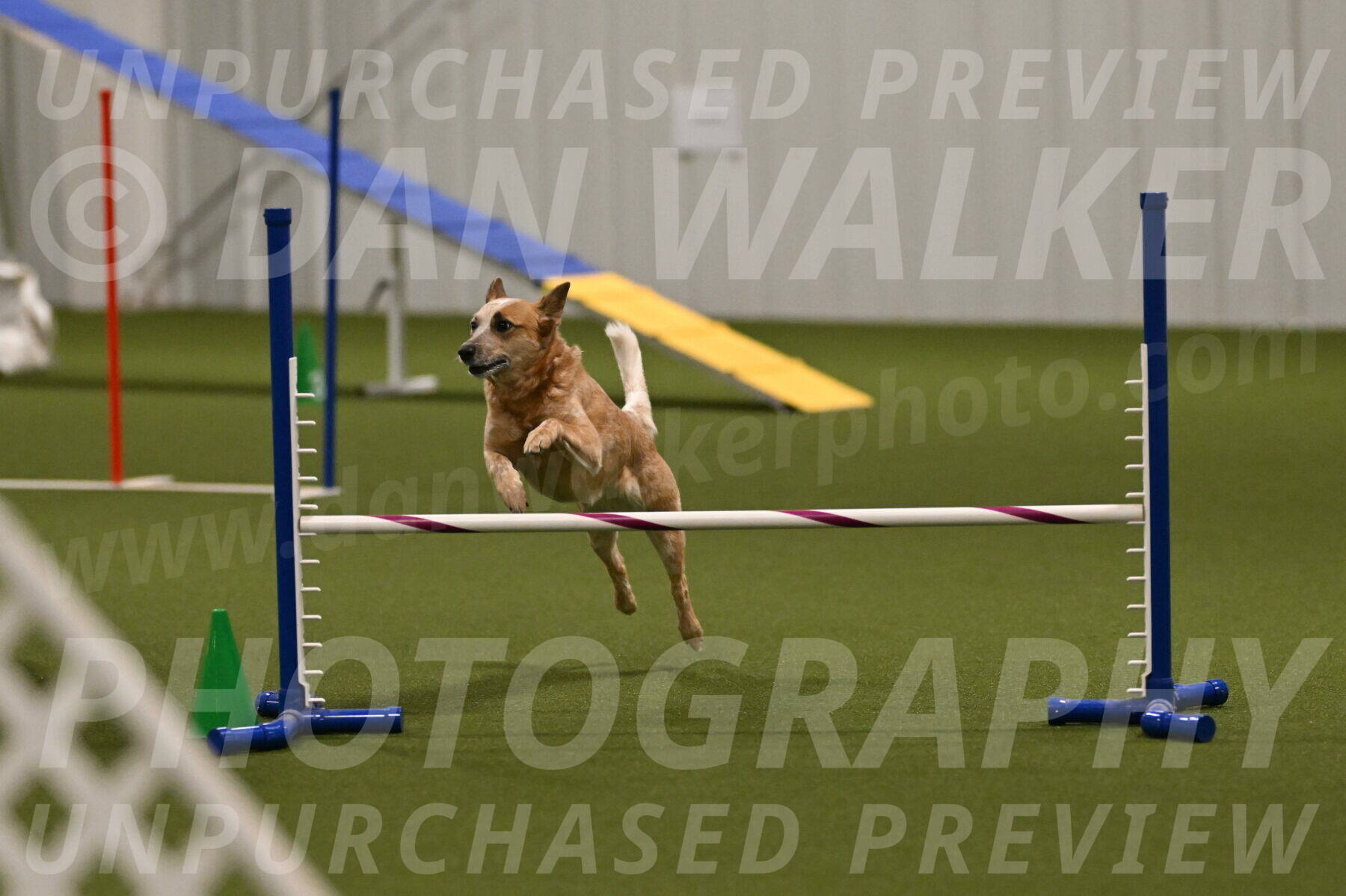 Kimber-Deanna-Rath-01583