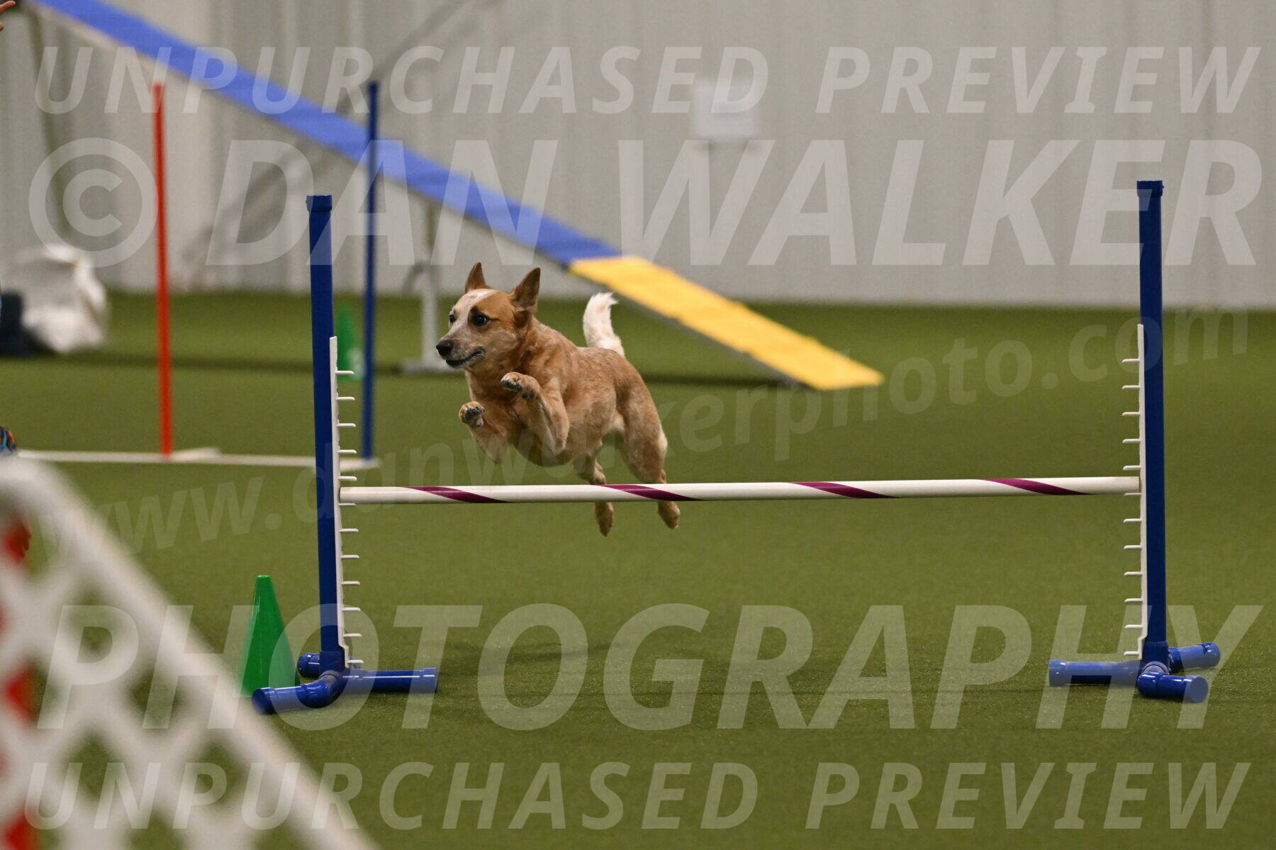 Kimber-Deanna-Rath-01584