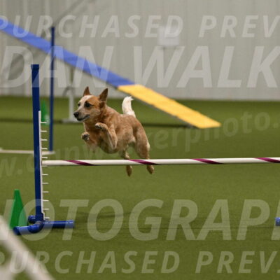 Kimber-Deanna-Rath-01584