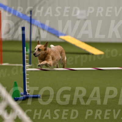 Kimber-Deanna-Rath-01585