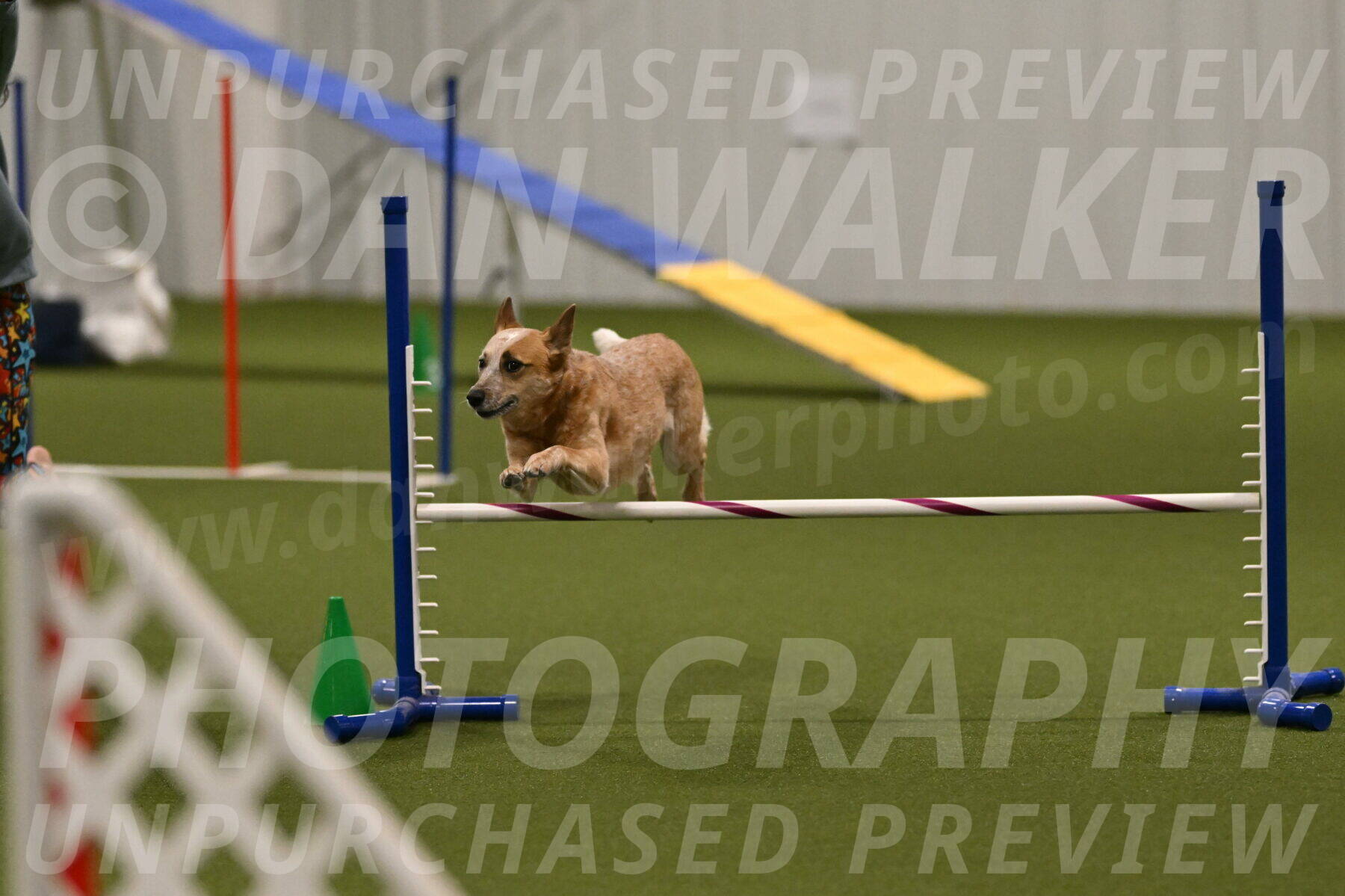 Kimber-Deanna-Rath-01585