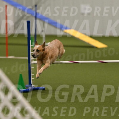 Kimber-Deanna-Rath-01586