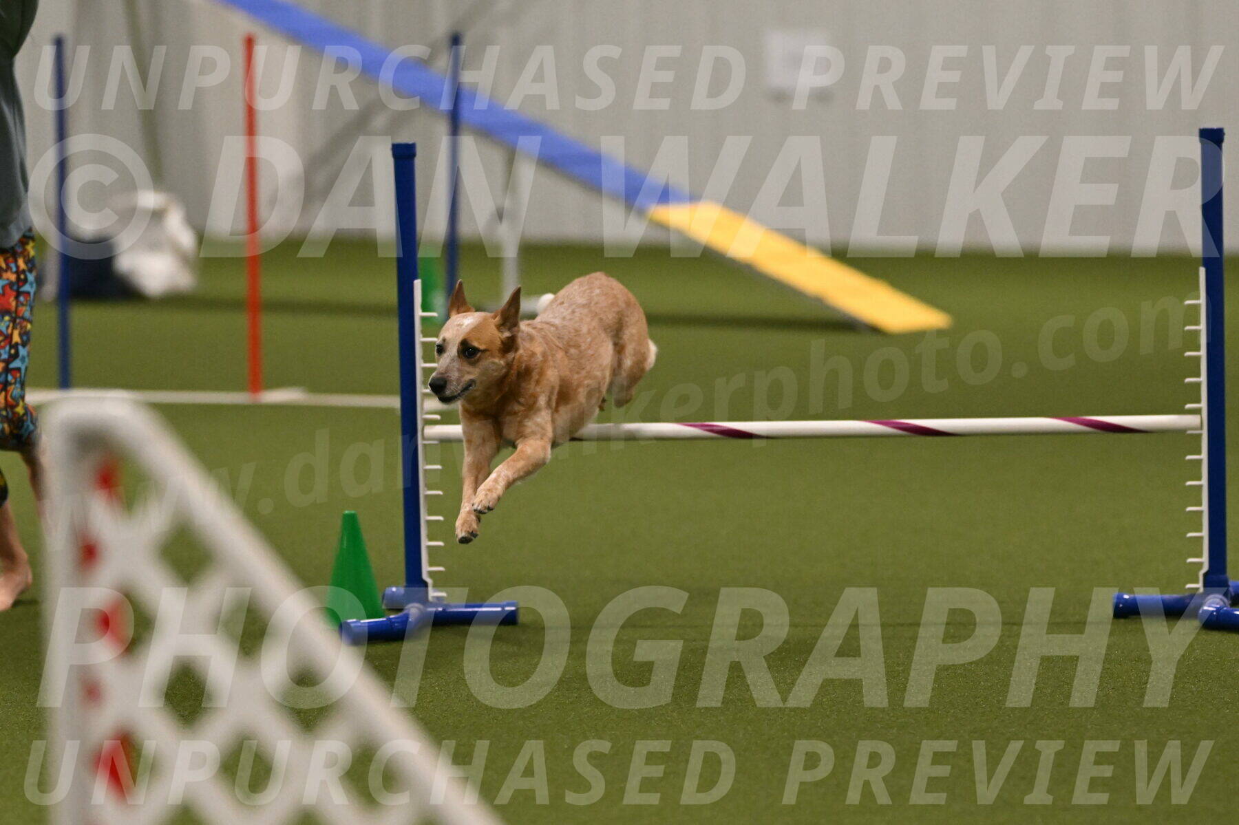 Kimber-Deanna-Rath-01586