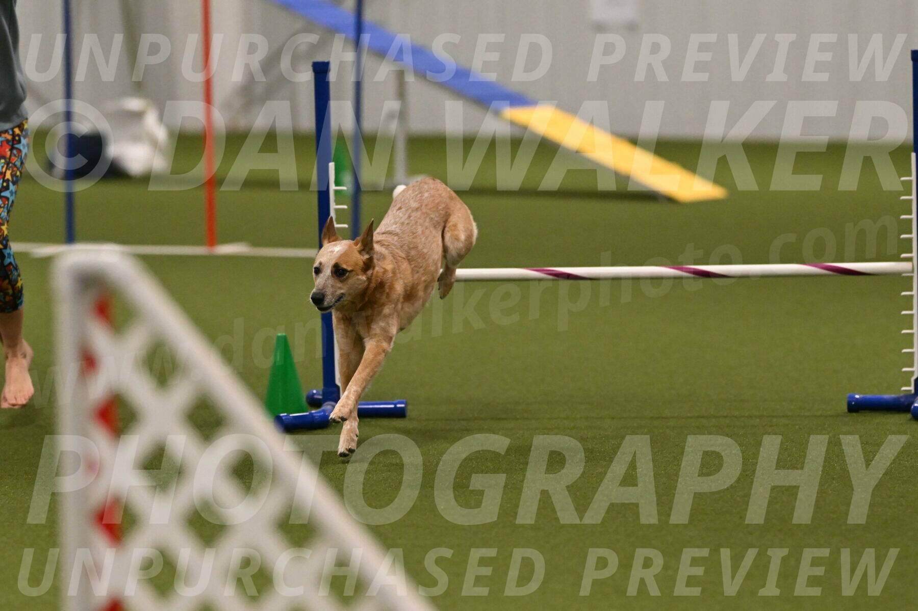 Kimber-Deanna-Rath-01587