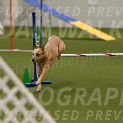 Kimber-Deanna-Rath-01587