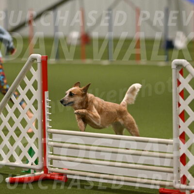 Kimber-Deanna-Rath-01588